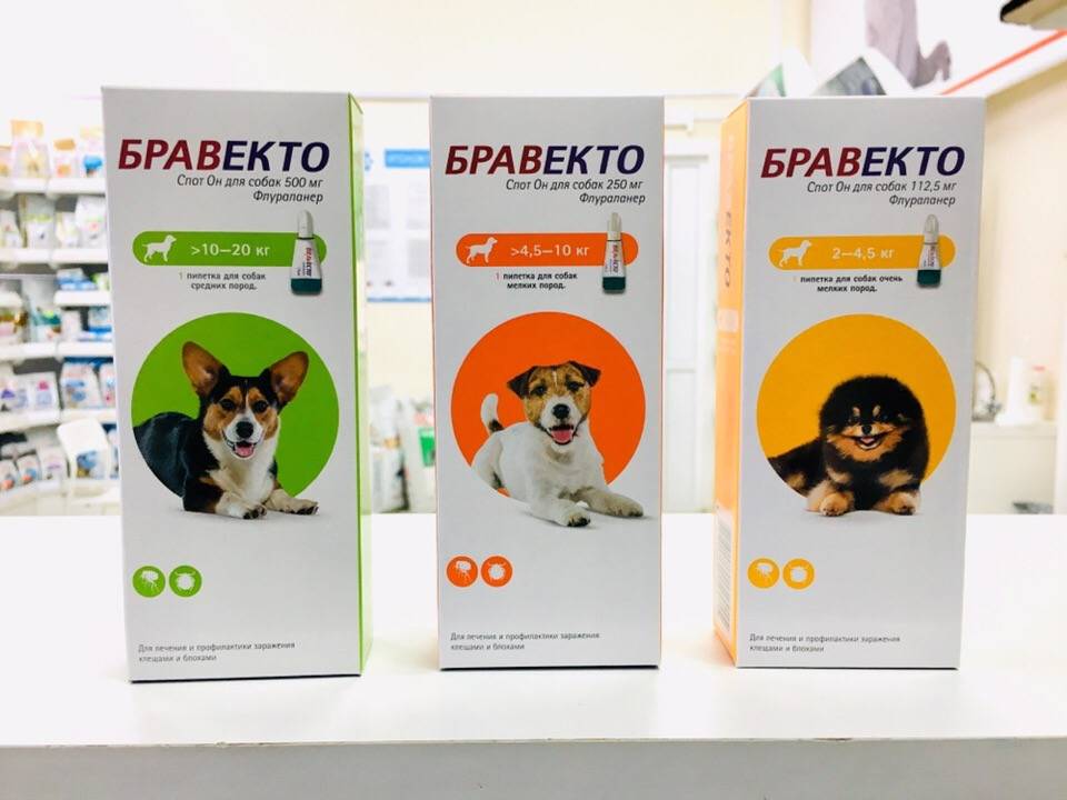 Таблетки бравекто: от клещей для собак