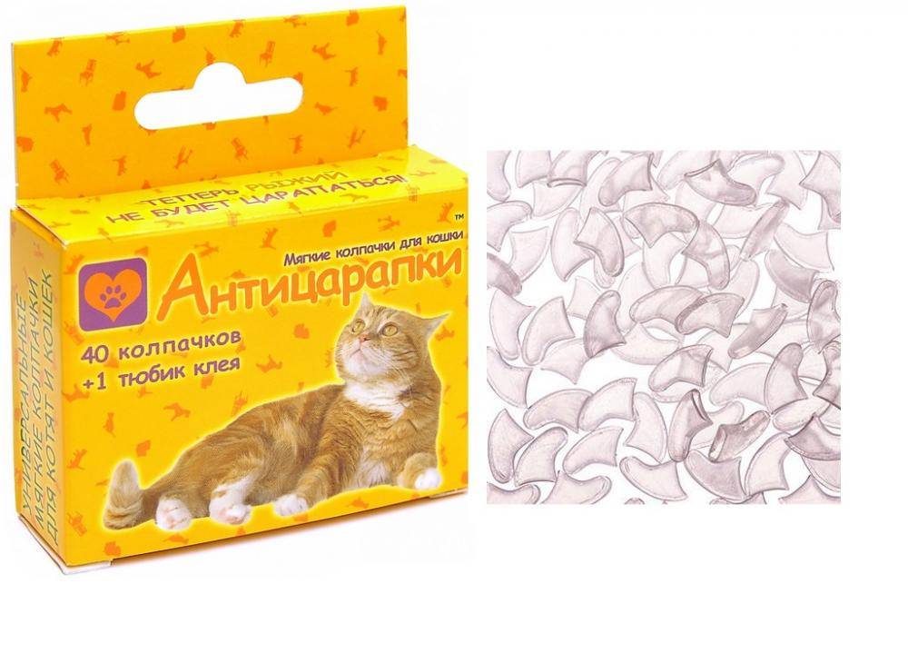 Антицарапки накладки для кошек и котят - силиконовые колпачки и насадки на когти: выбор, плюсы и минусы, как правильно надевать