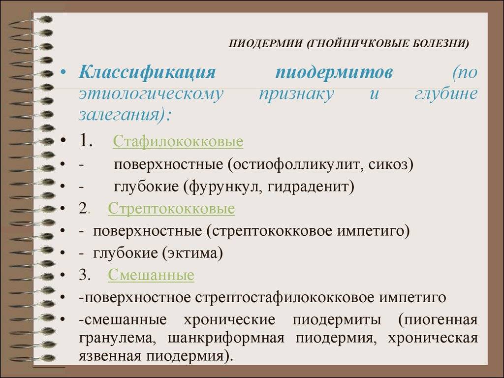 Пиодермия у собак или бактериальный пододерматит
