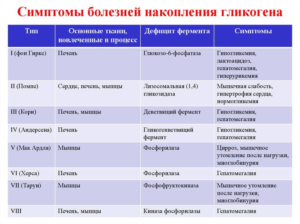 Аксолотль в аквариуме: виды, содержание и уход, соседи, фото
