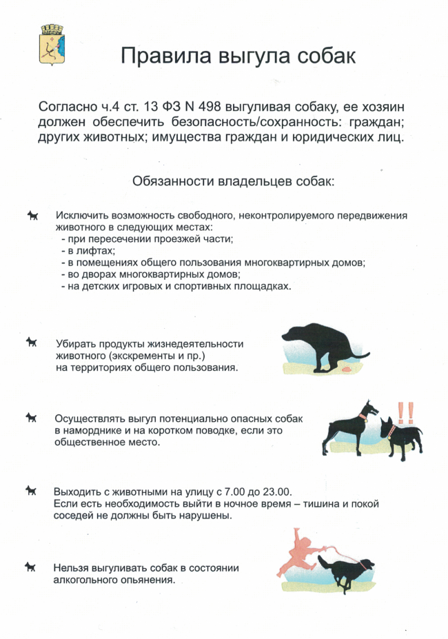 Правила содержания домашних животных в многоквартирных домах: законы, регулирующие совместное проживание с собаками, кошками и другими питомцами