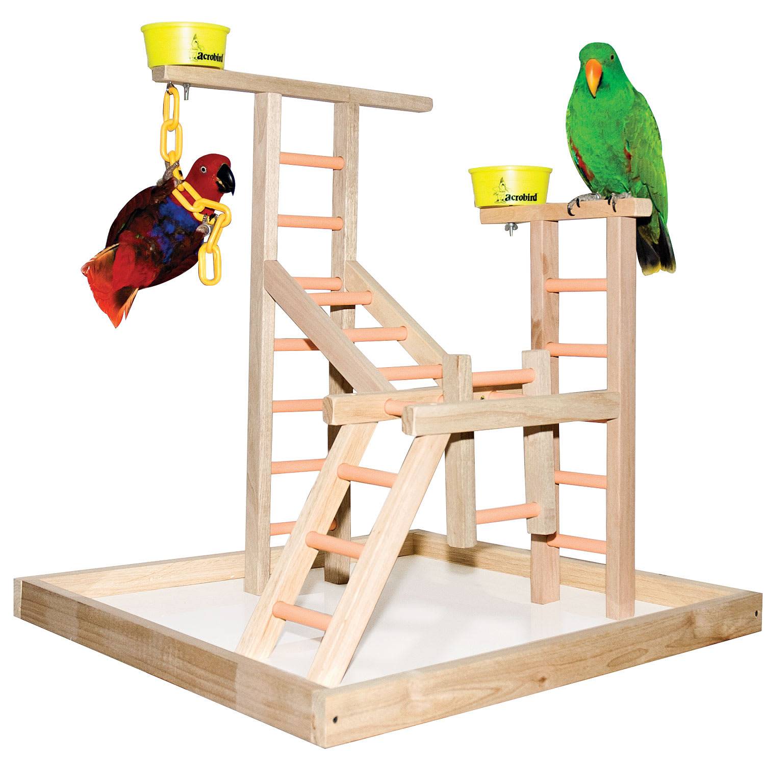 Стенд для попугая: как правильно подобрать игровую площадку для волнистых птиц и можно ли сделать своими руками
