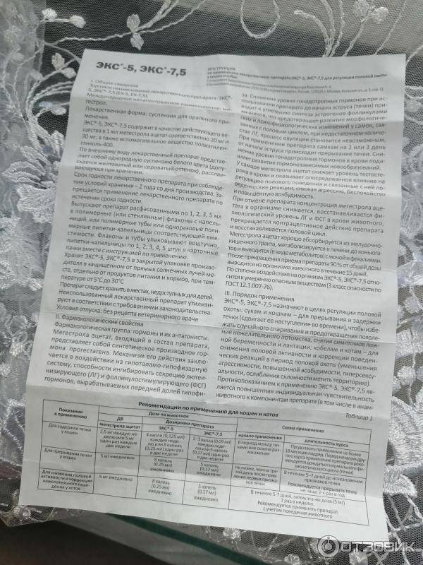 Эритропоэтин (эпо) – анализ, нормы, интерпретация результатов