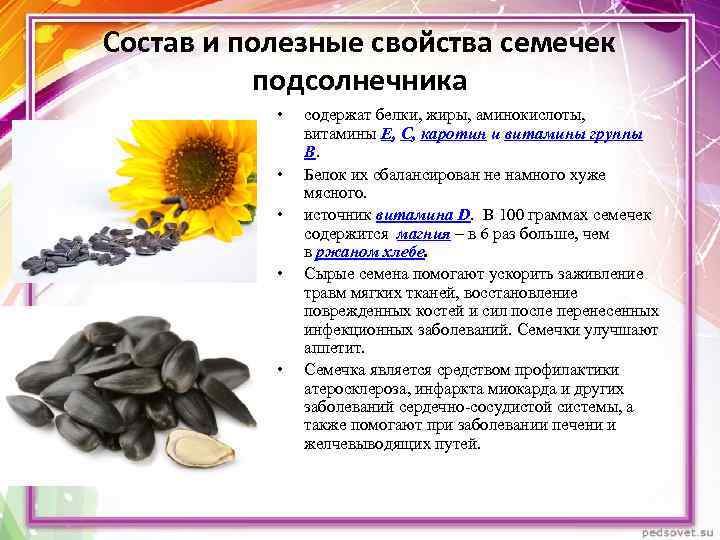 Можно ли хомякам жареные семечки: польза и вред