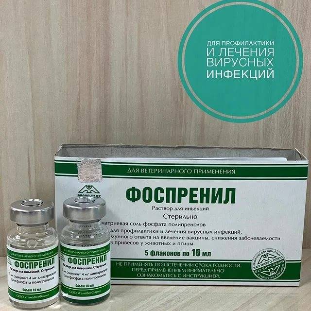 «фоспренил» для собак: показания и побочные действия, инструкция по применению