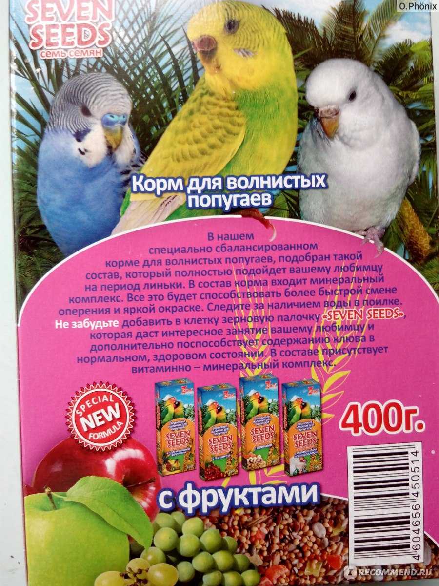 Что можно есть волнистым попугаям
