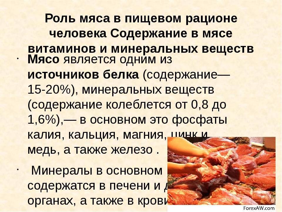 Мясо кролика — польза и вред для организма | польза и вред
