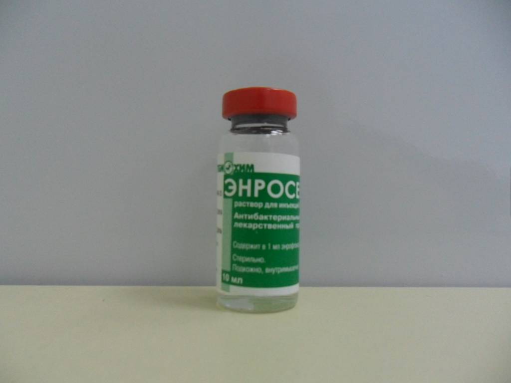 Энросепт для кошек инструкция побочные действия
