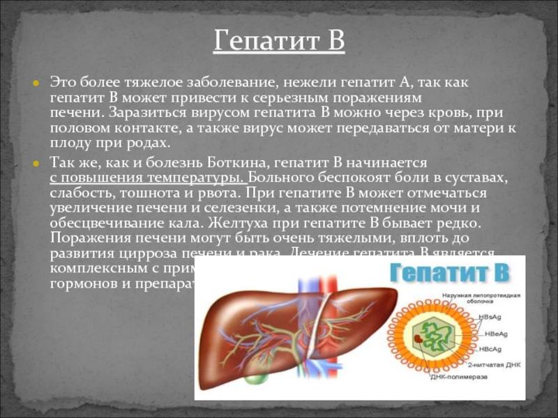 Заболевания печени у кошек симптомы и лечение