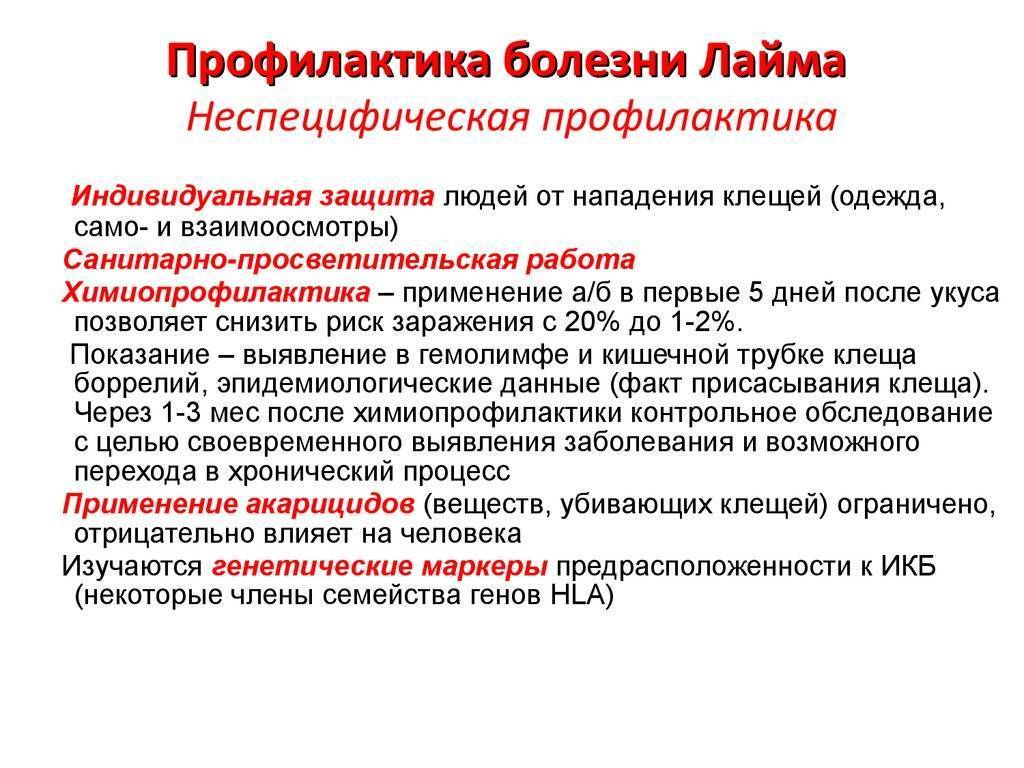 Боррелиоз (болезнь лайма) у собак: симптомы, диагностика, схема лечения, фото и последствия. болеют ли им животные и как защитить их весной от клещевых вирусов?