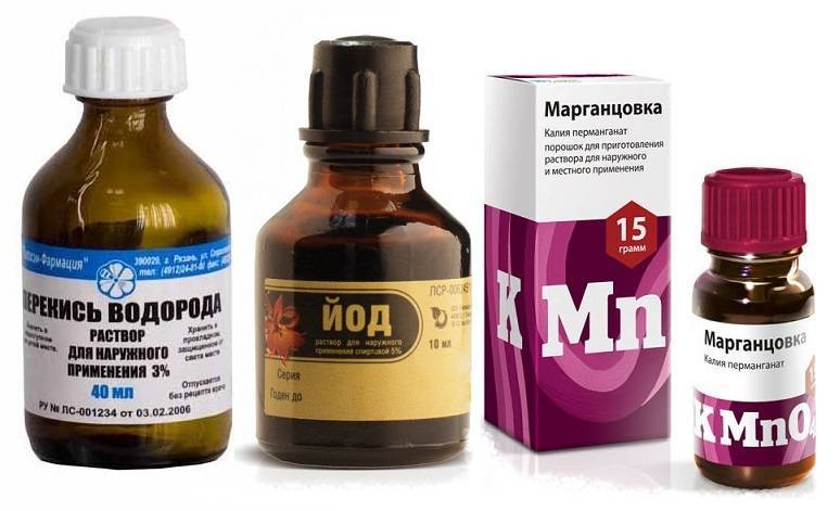 Запах собачьей мочи в доме: 6 средств и 7 способов устранения запаха