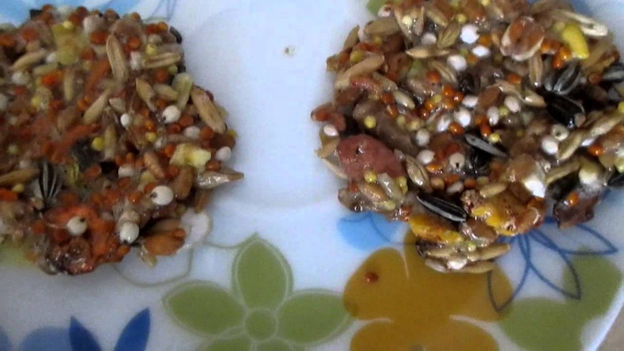 Печенье для хомяка