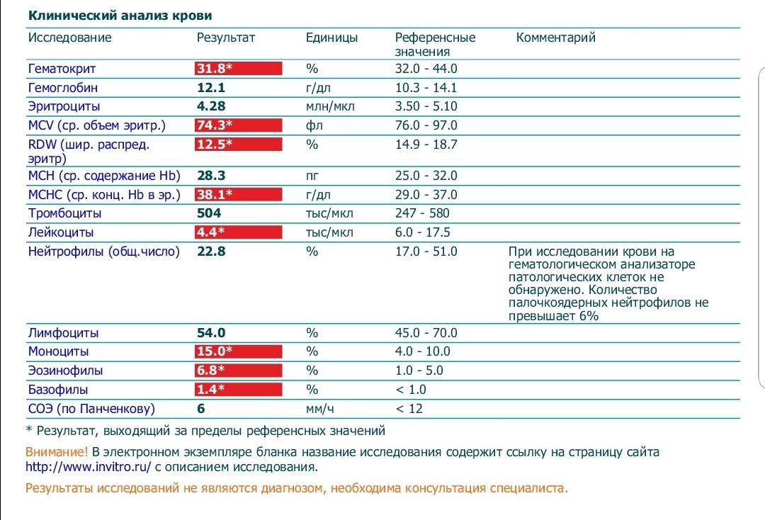 Лейкоциты в крови: виды, функции, нормы по популяциям, анализ и расшифровка, повышение и понижение