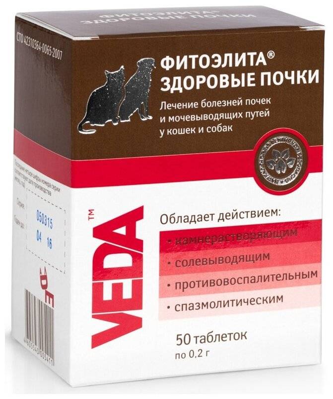 Стадии хронической почечной недостаточности: полиурическая, терминальная | университетская клиника