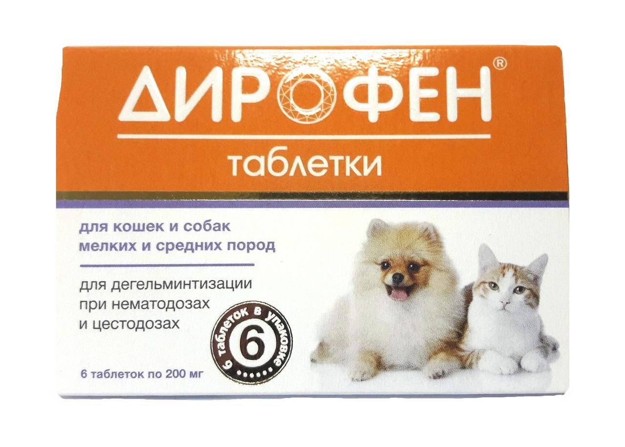 Дирофен для кошек: состав, форма выпуска, особенности применения