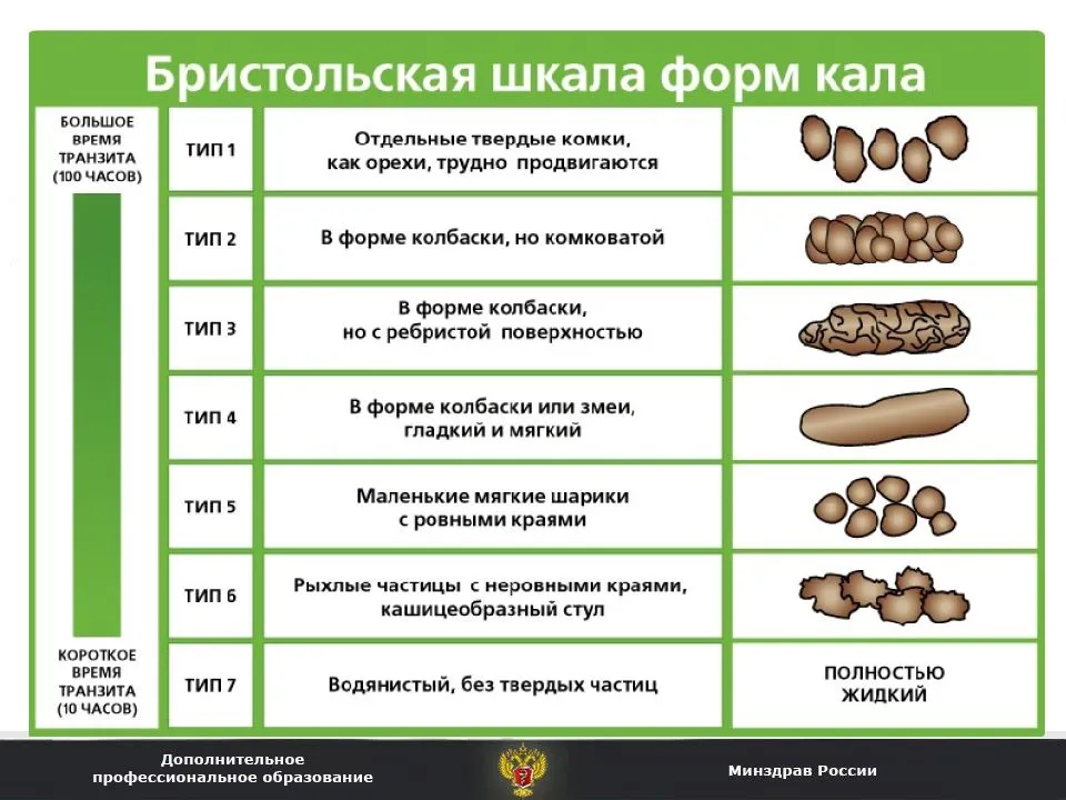 Цекоторфы и копрофагия. без них кролику туго.