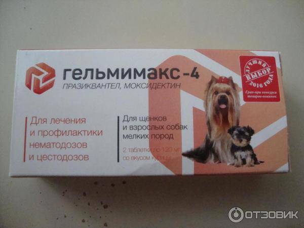 Гельмимакс для собак: инструкция по применению, дозировка, аналоги | звери дома