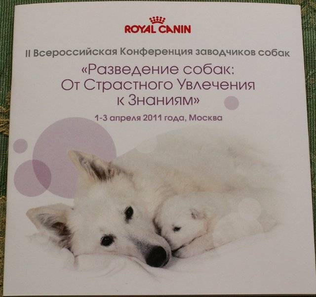 Организация защиты кошек приветствует тех заводчиков, которые регистрируются