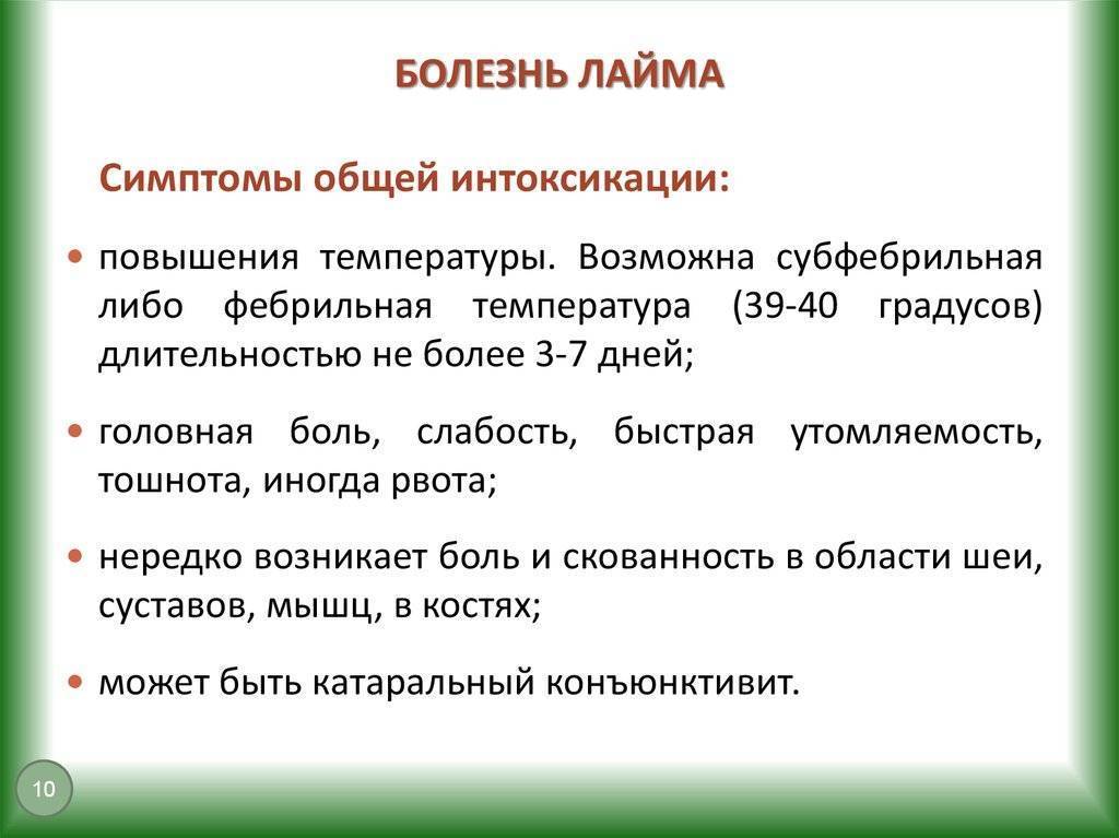Укус клеща. клещевой энцефалит и боррелиоз. симптомы, профилактика и лечение