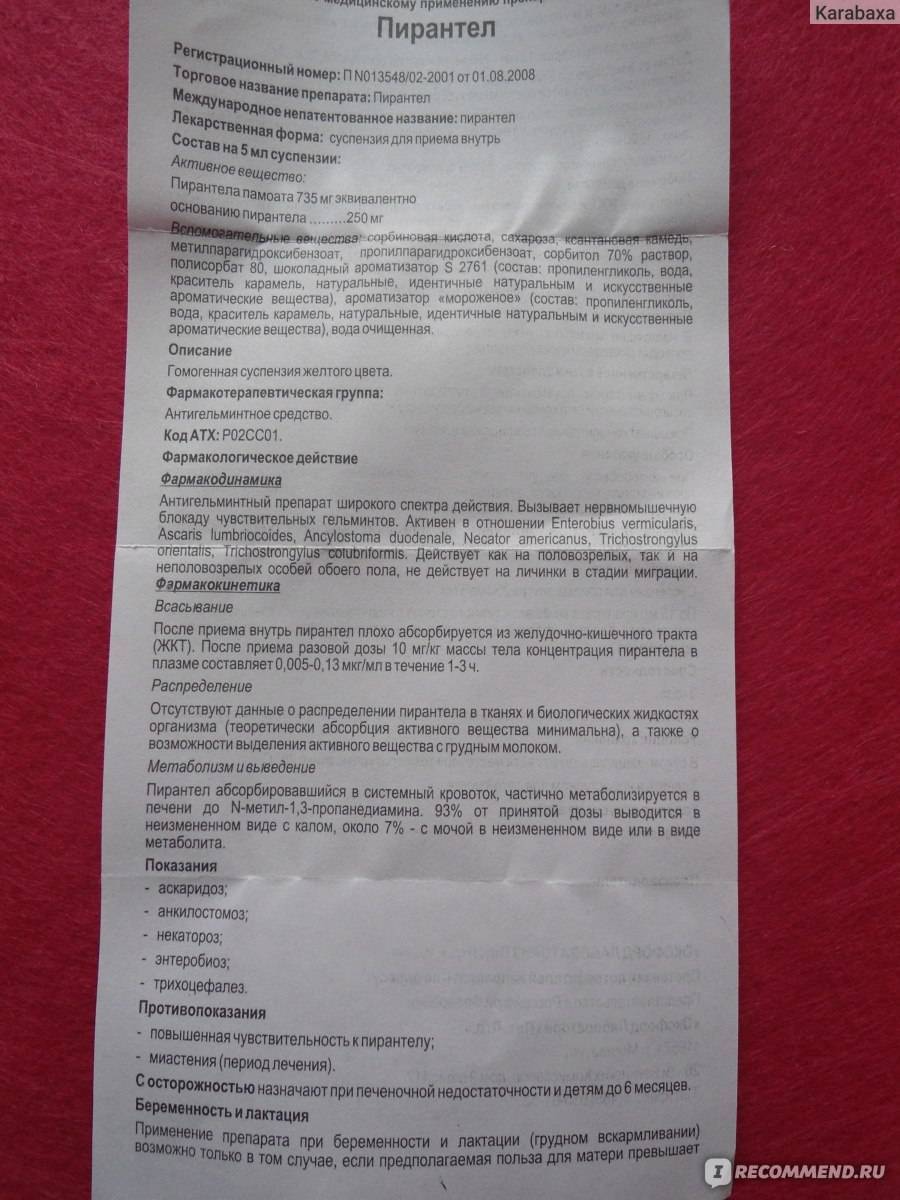 Суспензия "пирантел" для кошек: дозировка, инструкция, как давать
