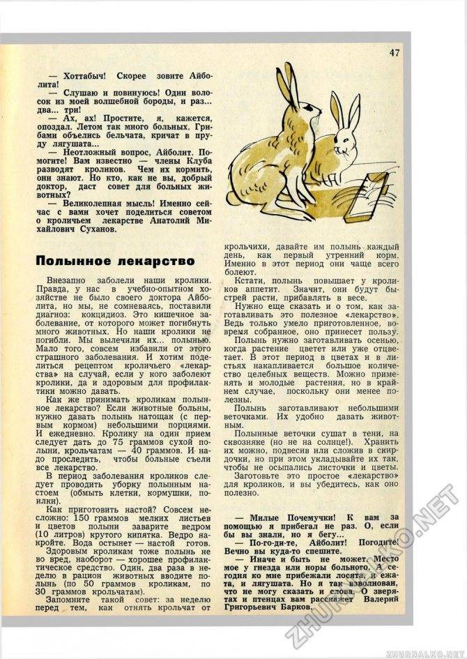 Какую траву давать кроликам можно и какую нельзя: списки с фото | «твой кролик»