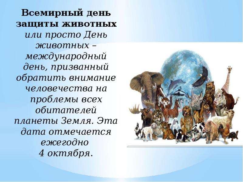 Всемирный день животных 2023