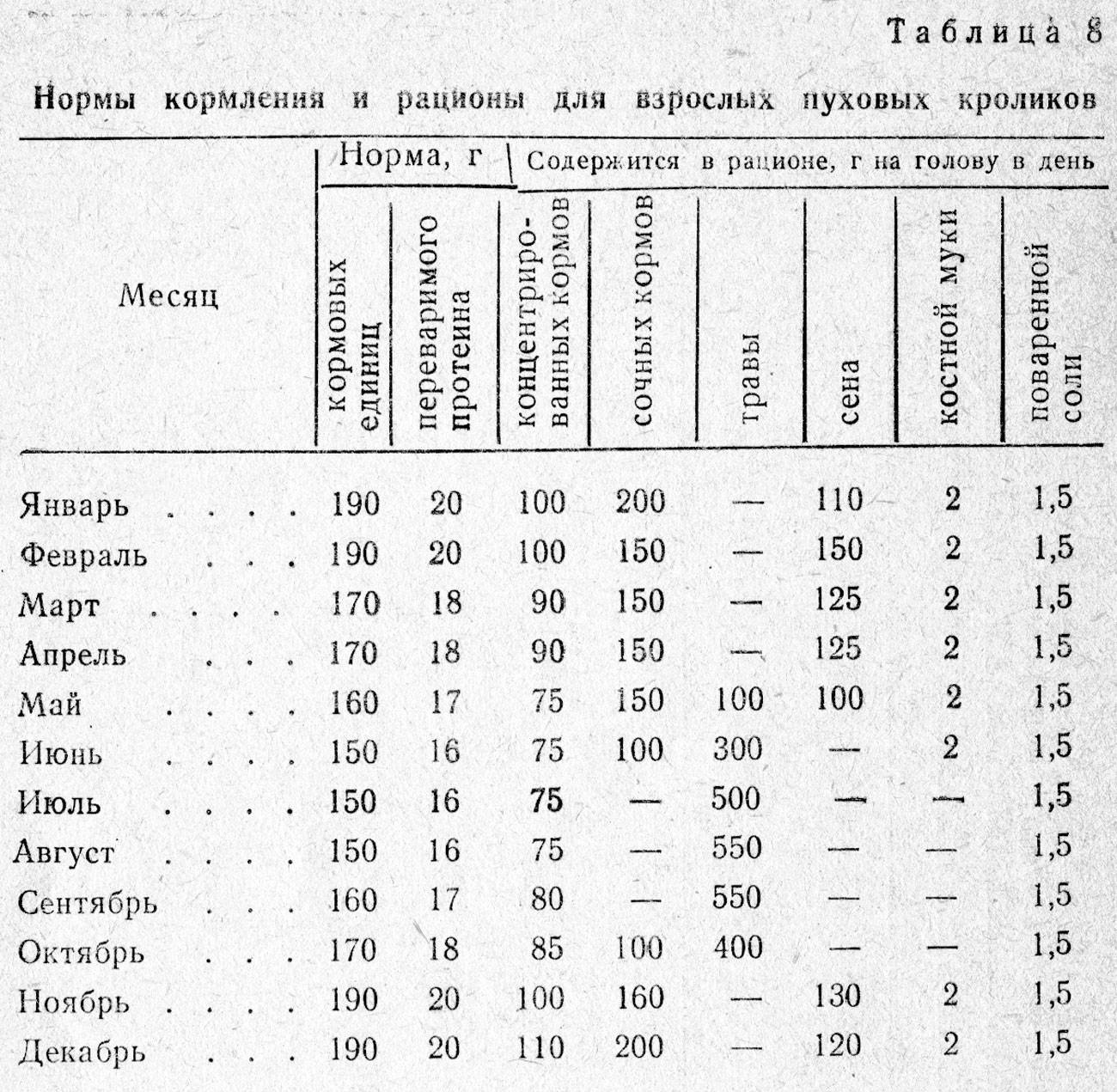 Сколько раз кормить кроликов?