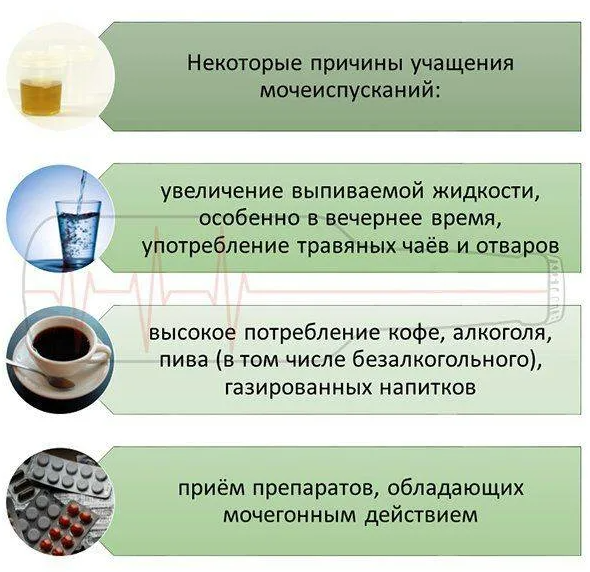 Частое мочеиспускание причины. Частое мочеиспускание у женщин причины. Почему частое мочеиспускание. Частое мочеиспускание у женщин без боли причины.