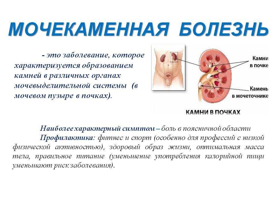 Мочекаменная болезнь у собак - причины, симптомы, принципы лечения