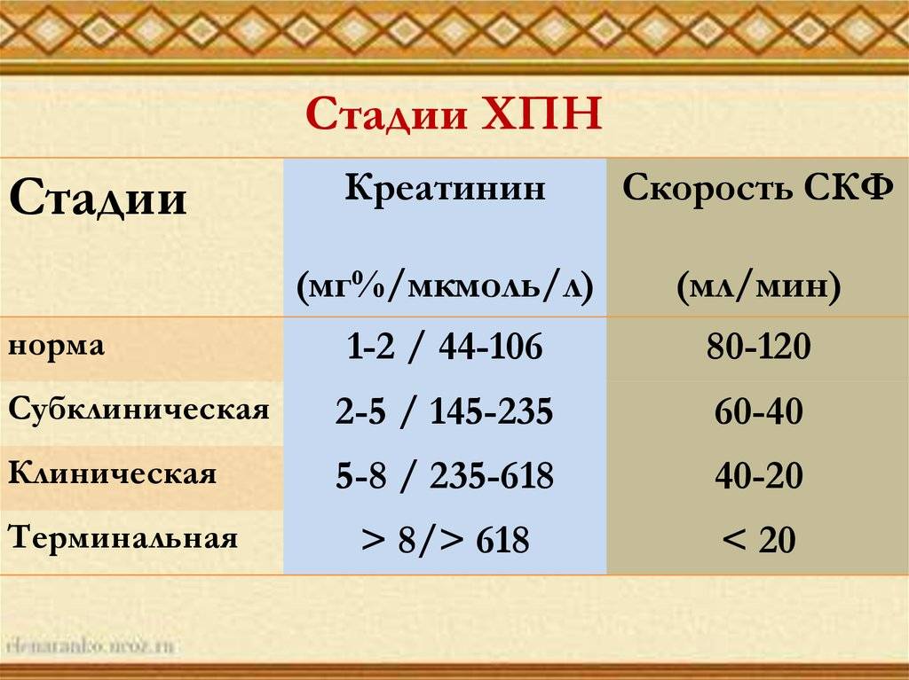 Почечная недостаточность острая и хроническая у кошекветлечебница рос-вет