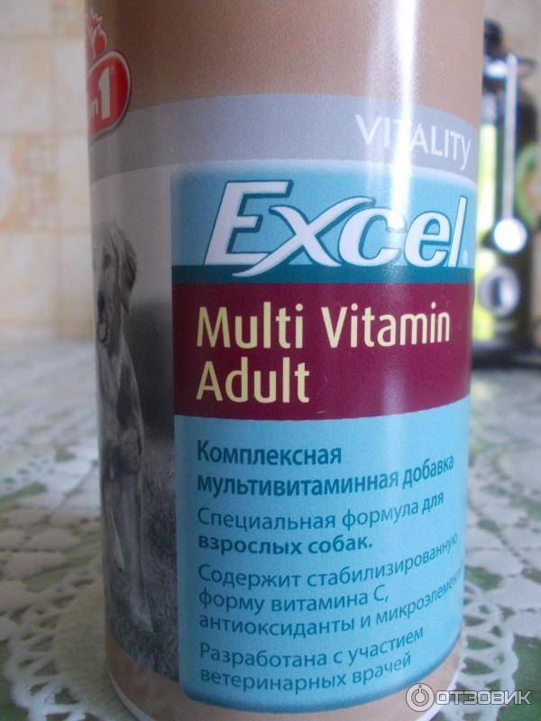 Обзор витаминов фирмы excel 8 в 1 для шерсти взрослых собак и щенков