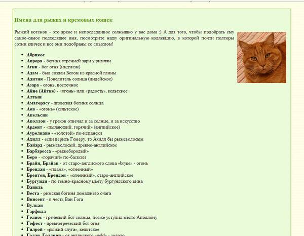 Как назвать шотландскую кошку, кота и котенка?