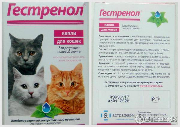 Нарушения опорожнения мочевого пузыря - диагностика и лечение. часть 2 | университетская клиника