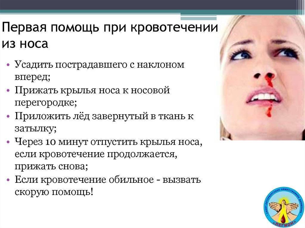 12 причины почему у кота идет кровь из носа - симптомы, лечение