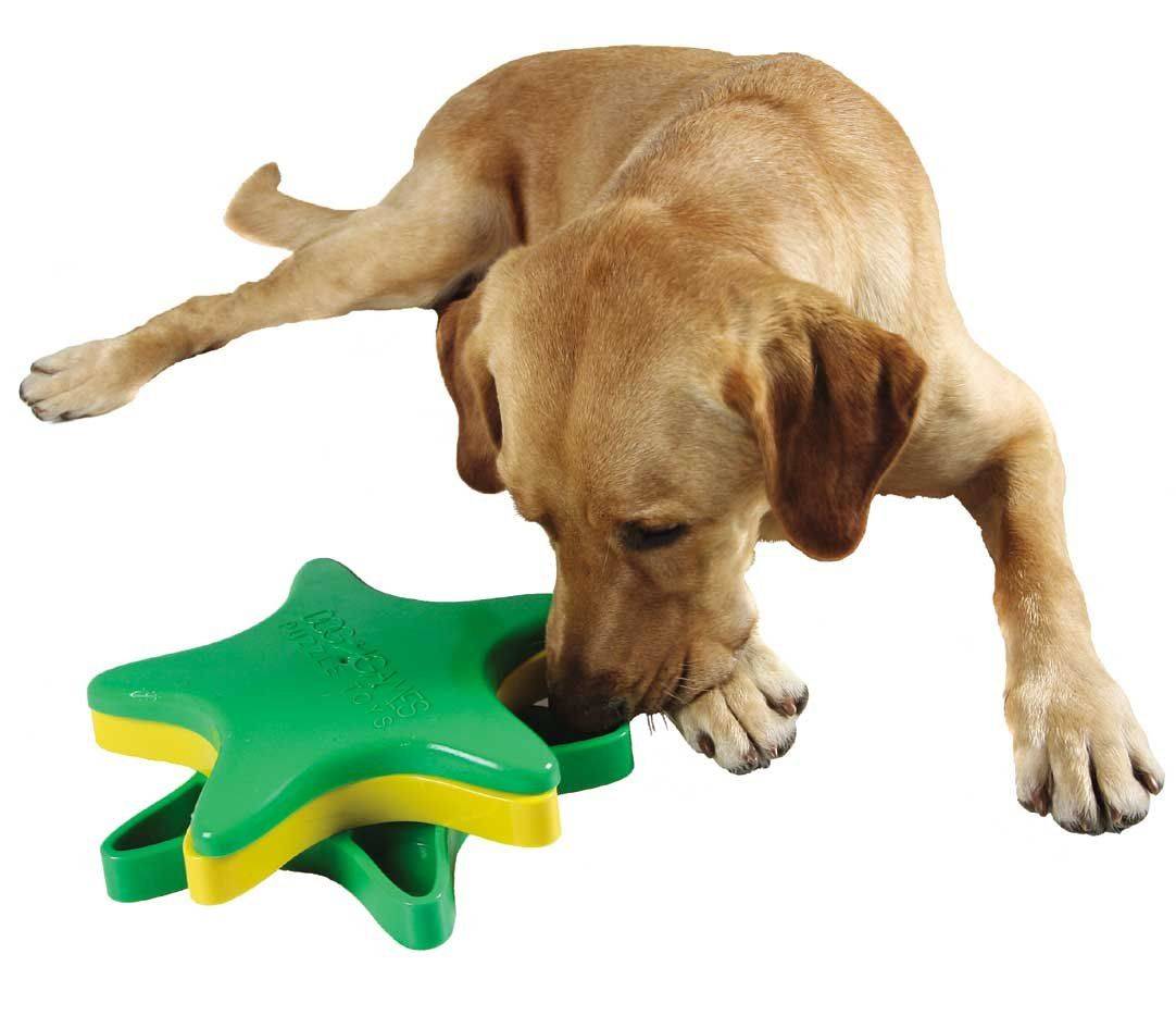 Обзор развивающих игрушек для щенка и собаки: как выбрать подходящее изделие