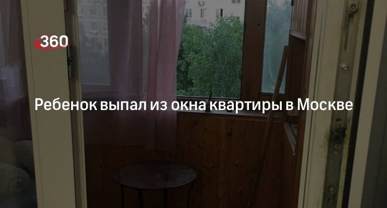 Как правильно искать пропавшую кошку | блог ветклиники "беланта"