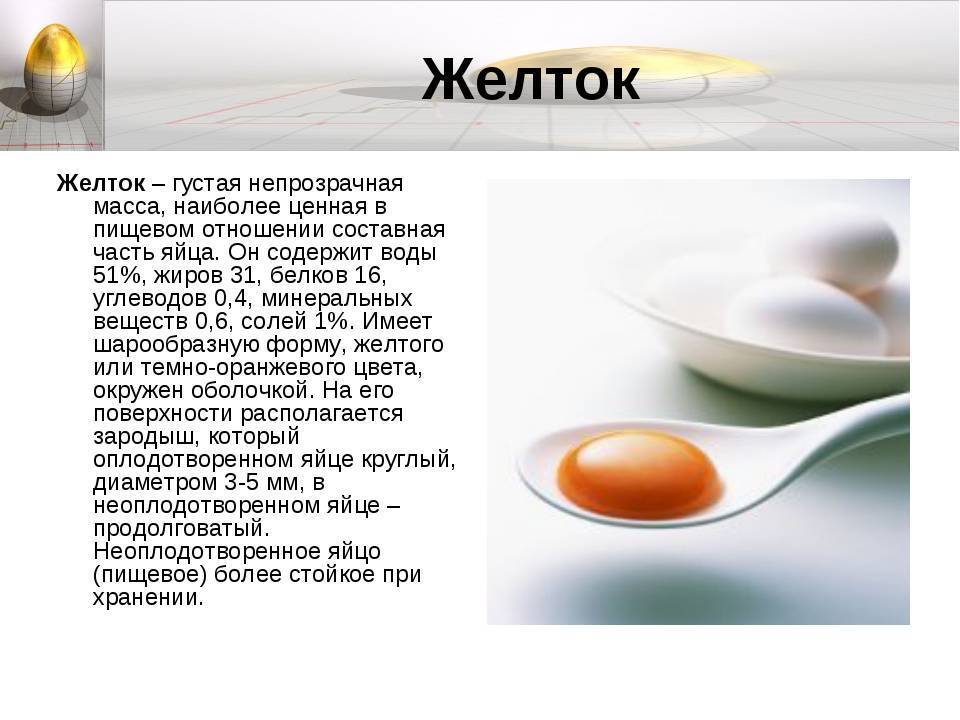 Можно ли хомякам яйцо вареное и сырое, белок и желток для джунгарских и сирийских хомяков
