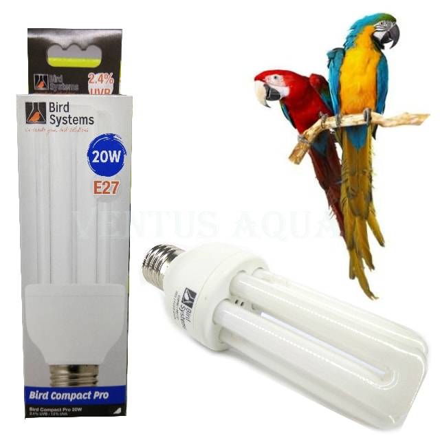 Какая лампа нужна для попугая (ультрафиолетовая, обычная) и как её правильно выбрать