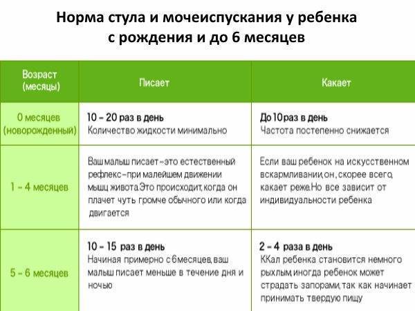 Как часто котята ходят в туалет: сколько раз в день
