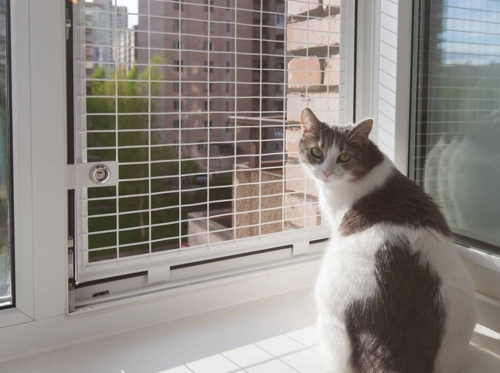 Сетка на окна для кошки. три варианта сеток антикошка