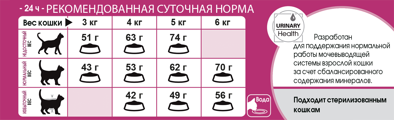 Нормы корма для кошек: сколько корма нужно кошке