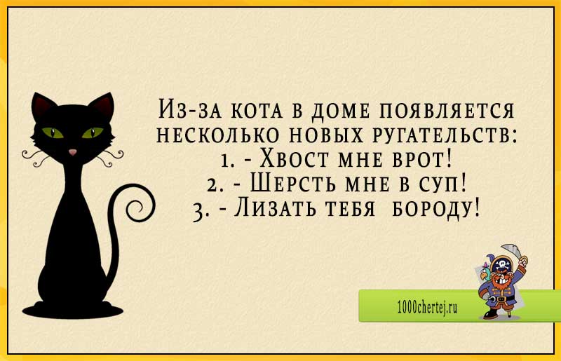 Цитаты про кошек и котов со смыслом | смешные, со смыслом