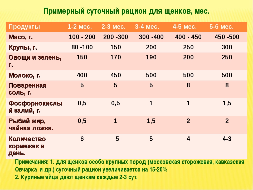 Чем кормить щенка овчарки: правильный рацион питания | нпк "скифф"
