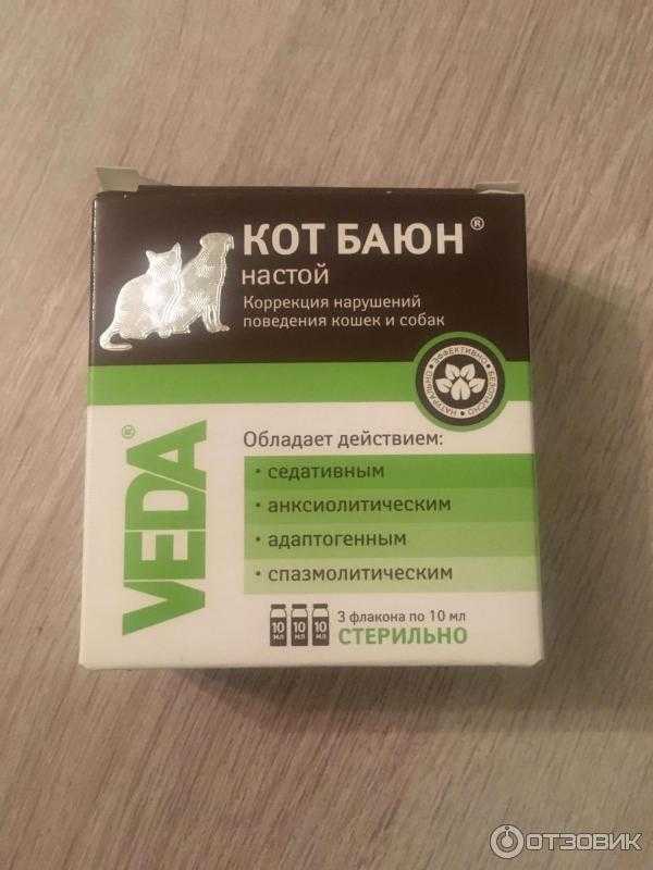 Успокоительное для кошек - обзор препаратов