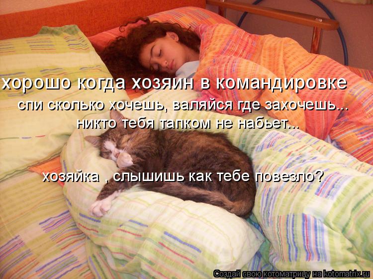 ᐉ кот ночью не дает спать что делать: как успокоить котенка когда он бесится? - zooshop-76.ru