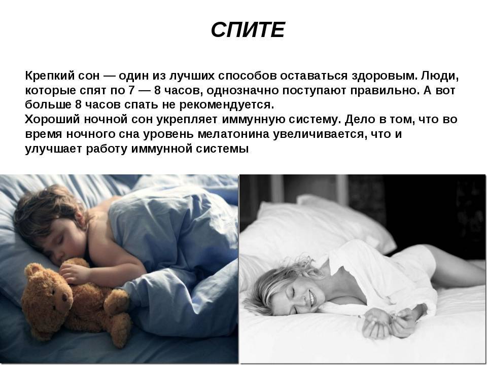 Как спят попугаи и сколько спят