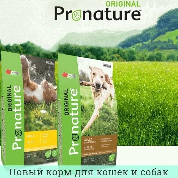 Обзор кормов pronature holistic и original: состав собачьего питания