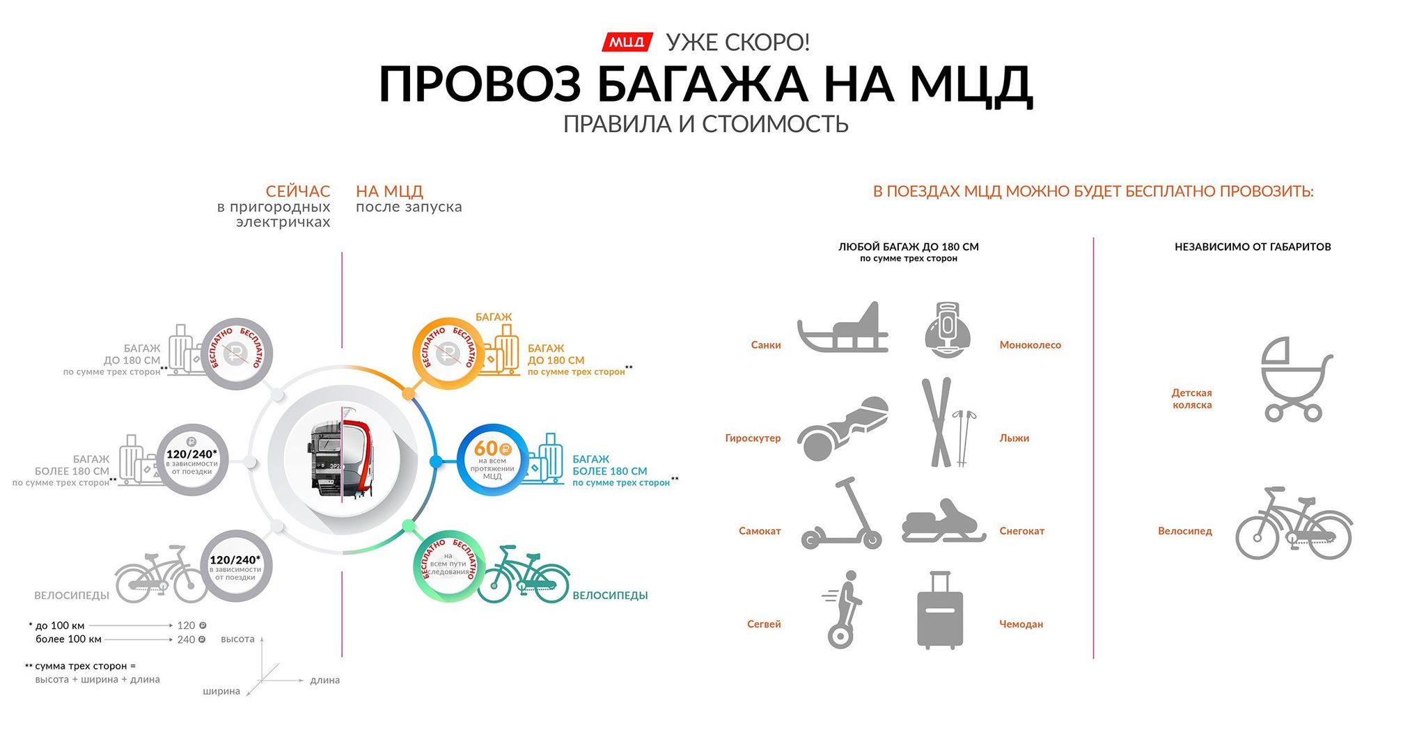 Важные нюансы, как перевезти собаку разным видом транспорта