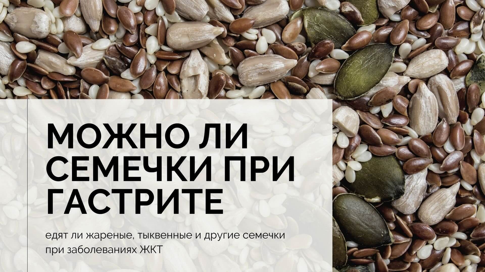 Чем кормить шиншиллу в домашних условиях