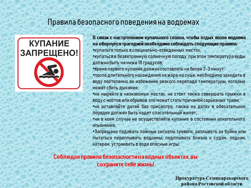 Правила выгула собак: закон в 2022 году в россии, штраф, запрещенные места, можно ли гулять без намордника и поводка в городе, в неположенном месте